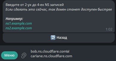 FastDomainBot NS Setup
